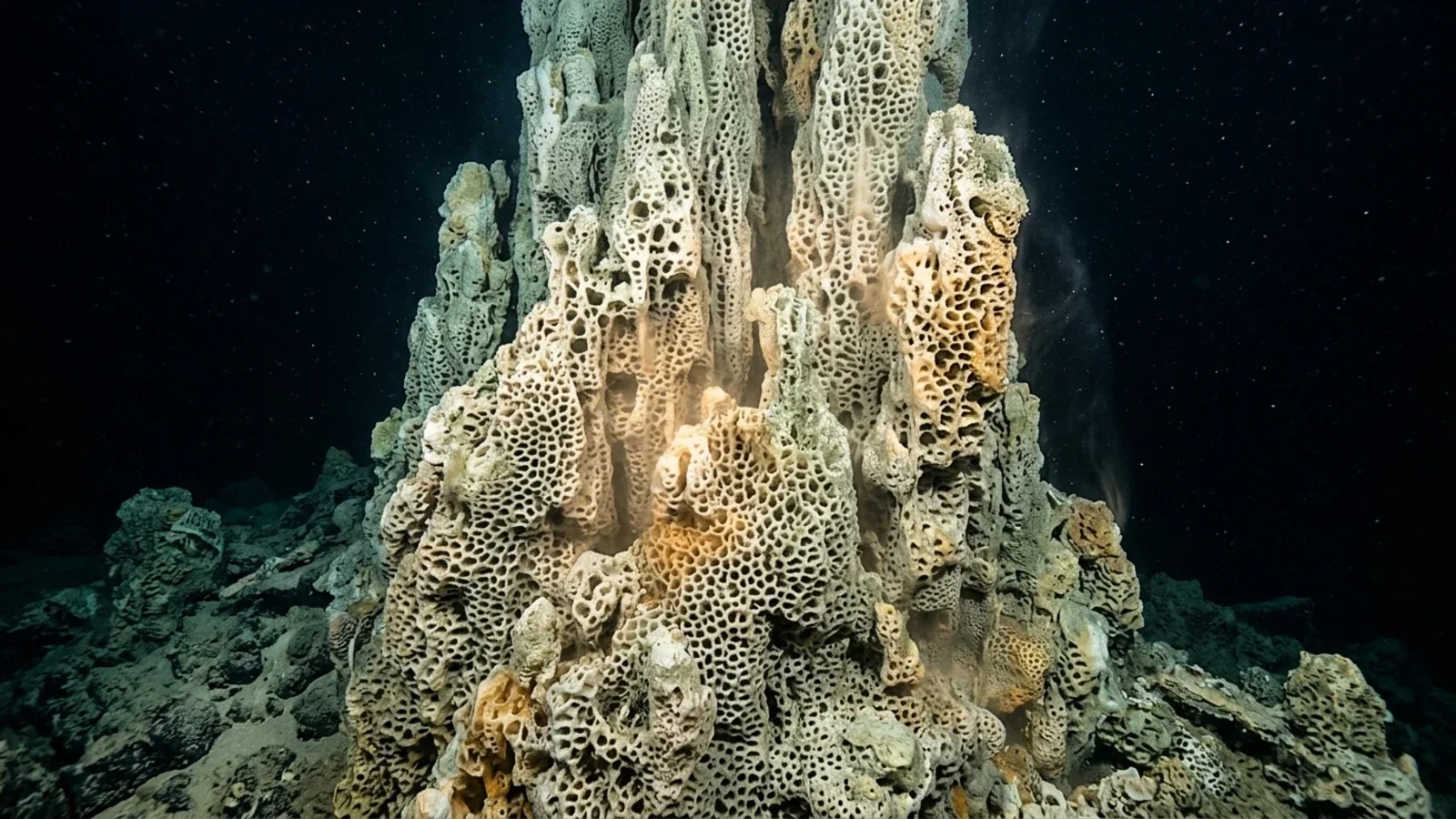 A pale cream carbonate mound rising from the seafloor in dark water, its whole surface an open honeycomb of interconnected pores, with faint shimmering fluid drifting up from it