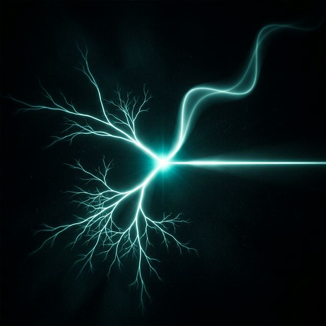 Multiple interpretations of quantum mechanics