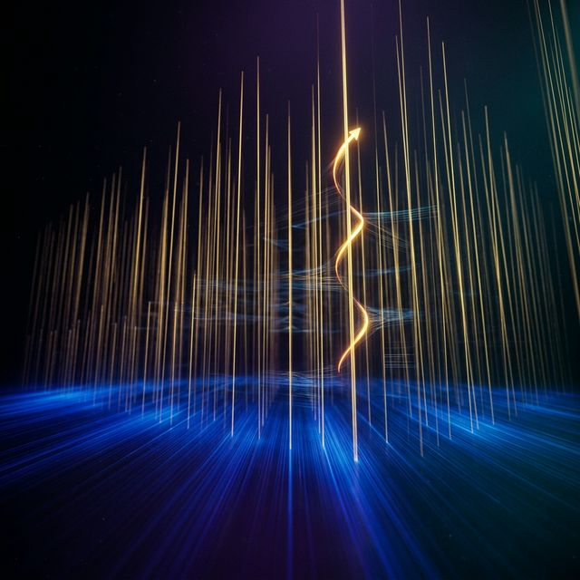 Fiber bundle structure representing gauge symmetry in quantum field theory