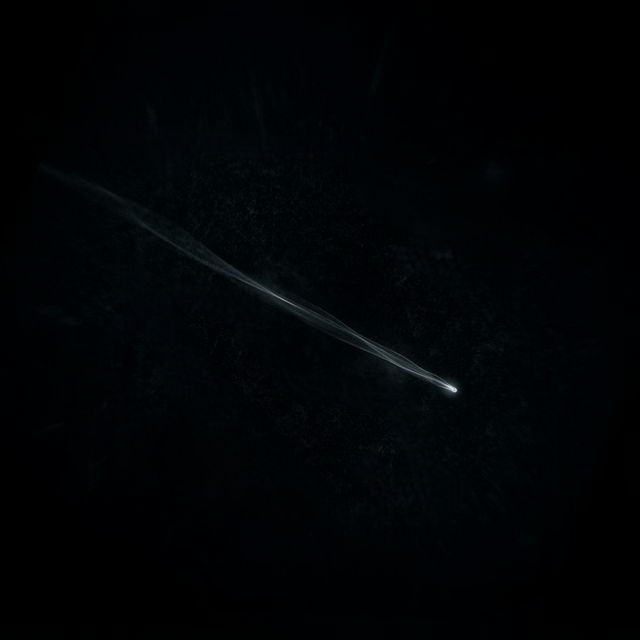 Neutrino